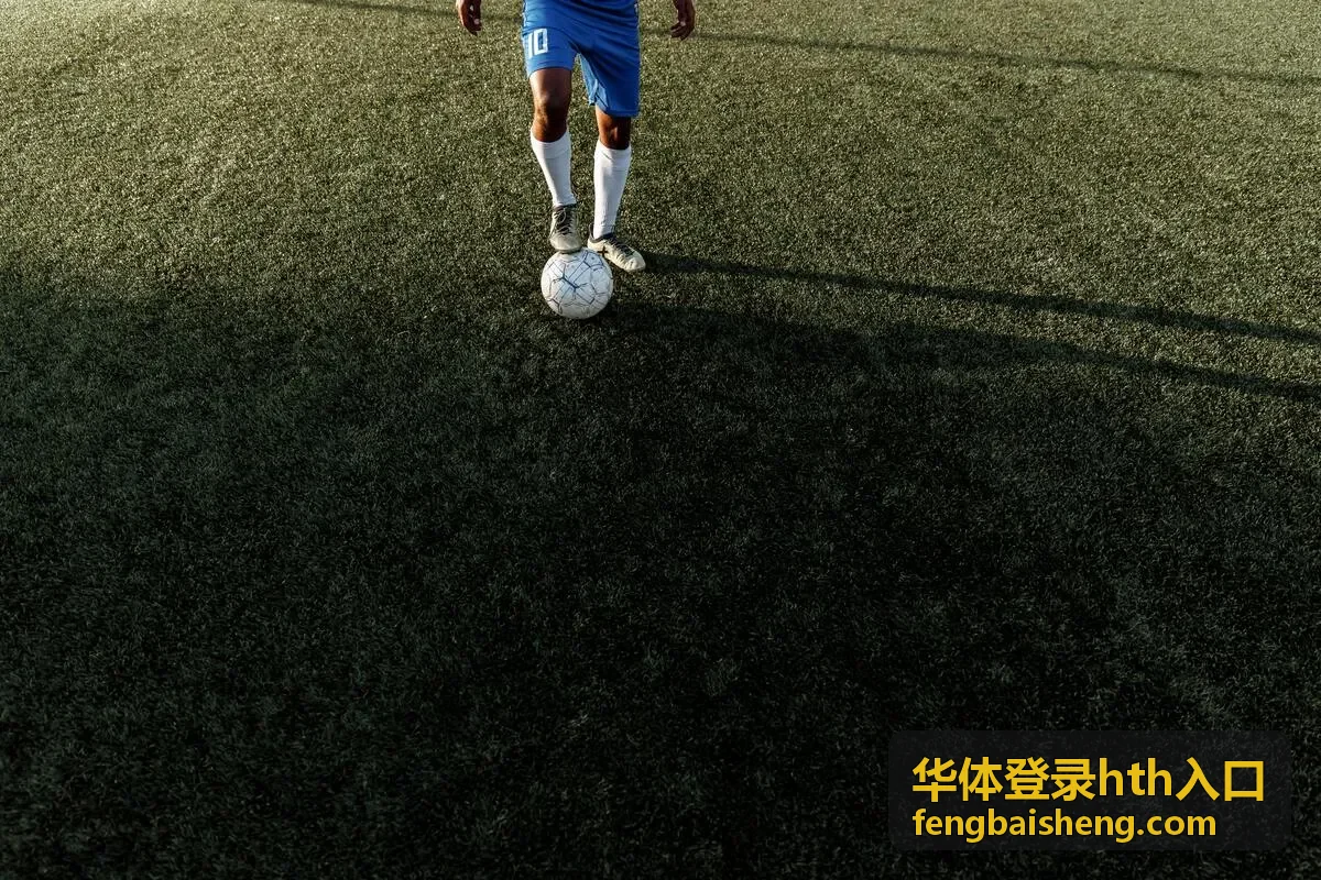华体登录hth入口账号信息填写要点封面