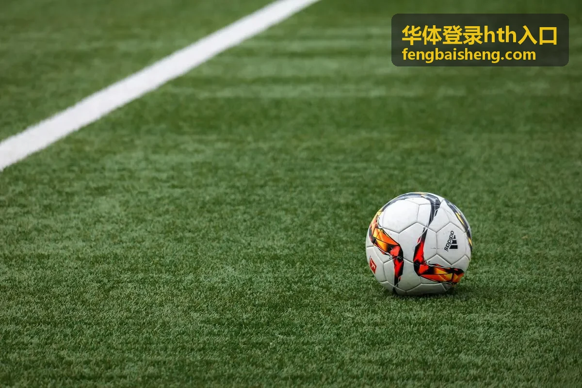 华体登录hth入口账号安全提醒封面